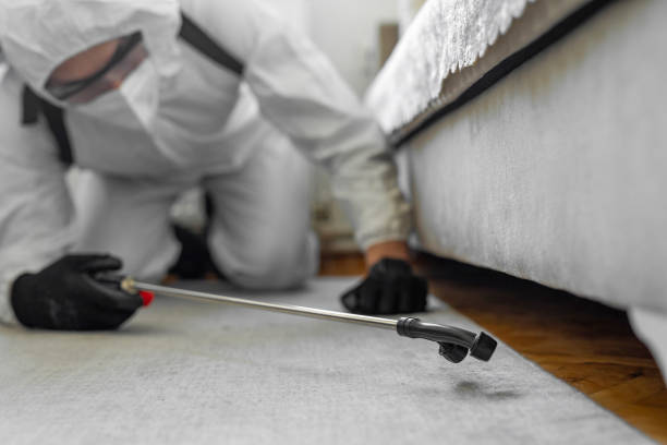 Professional Cockroach Control technician working in Prophetstown, IL