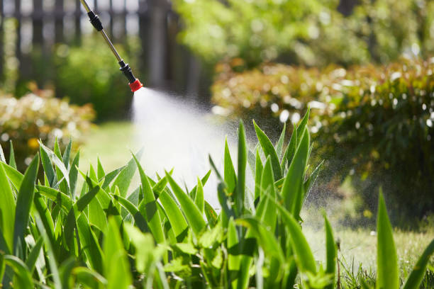 24/7 Emergency Cockroach Control experts in Prophetstown, IL